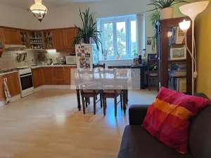 Pronájem bytu 2+kk, Praha - Nusle, U družstva Život, 60 m2