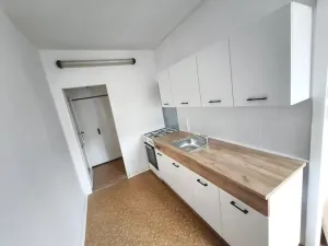 Pronájem bytu 1+1, Plzeň, Krejčíkova, 43 m2