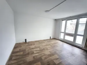 Pronájem bytu 1+1, Plzeň, Krejčíkova, 43 m2