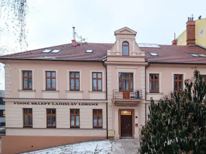 Pronájem bytu 4+1, Třebíč, Litoltova, 91 m2