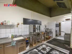 Prodej obchodního prostoru, Čelákovice, Rumunská, 794 m2