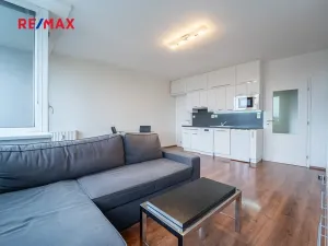 Pronájem bytu 1+kk, Velký Osek, U hřiště, 33 m2