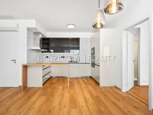 Pronájem bytu 3+kk, České Budějovice - České Budějovice 2, Branišovská, 80 m2