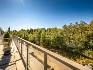 Pronájem bytu 3+kk, České Budějovice - České Budějovice 2, Branišovská, 80 m2