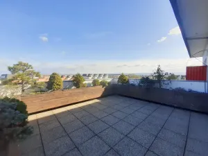 Pronájem bytu 2+kk, Olomouc - Nová Ulice, Okružní, 61 m2