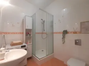 Pronájem bytu 2+kk, Olomouc - Nová Ulice, Okružní, 61 m2