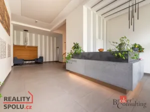 Pronájem bytu 3+kk, Praha - Karlín, Za Karlínským přístavem, 89 m2