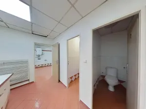 Pronájem obchodního prostoru, Jihlava, Dělnická, 860 m2