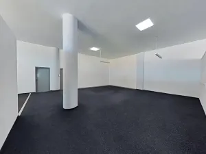 Pronájem obchodního prostoru, Jihlava, Dělnická, 200 m2