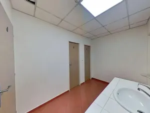 Pronájem obchodního prostoru, Jihlava, Dělnická, 200 m2