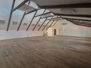 Pronájem kanceláře, Praha, Myslíkova, 293 m2