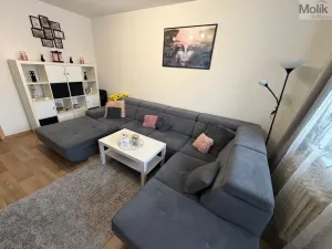 Prodej bytu 4+1, Karlovy Vary - Rybáře, Severní, 85 m2