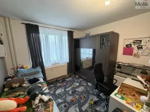 Prodej bytu 4+1, Karlovy Vary - Rybáře, Severní, 85 m2