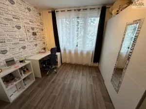 Prodej bytu 4+1, Karlovy Vary - Rybáře, Severní, 85 m2