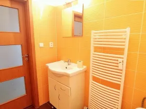 Pronájem bytu 2+kk, Plzeň - Východní Předměstí, Květná, 47 m2