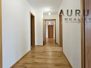 Pronájem bytu 4+kk, Praha - Nusle, Bělehradská, 123 m2