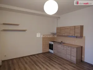 Pronájem bytu 1+kk, Děčín - Děčín VI-Letná, Lovecká, 28 m2