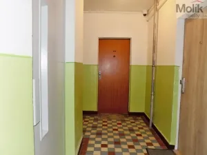 Prodej bytu 1+kk, Most, U Věžových domů, 20 m2