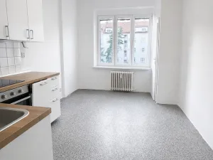 Pronájem bytu 1+1, Praha, Petra Rezka, 44 m2