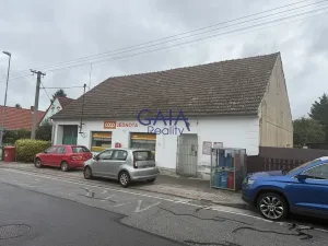 Prodej obchodního prostoru, Třeboň, 124 m2