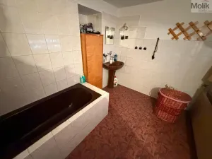 Prodej rodinného domu, Bělušice - Bedřichův Světec, 219 m2