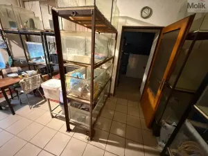 Prodej rodinného domu, Bělušice - Bedřichův Světec, 219 m2