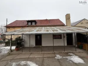 Prodej rodinného domu, Bělušice - Bedřichův Světec, 219 m2