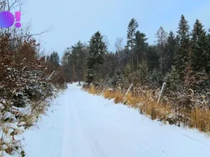 Prodej pozemku, Liptál, 17190 m2