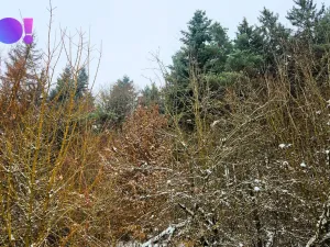 Prodej pozemku, Liptál, 17190 m2