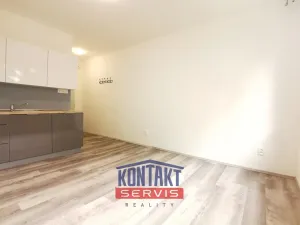 Pronájem bytu 1+kk, České Budějovice - České Budějovice 3, Plzeňská, 21 m2