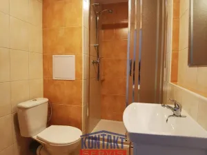 Pronájem bytu 1+kk, České Budějovice - České Budějovice 3, Plzeňská, 21 m2