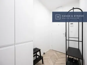 Pronájem bytu 1+kk, Brno, Cejl, 29 m2