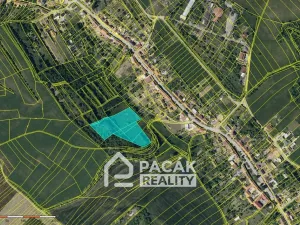 Prodej louky, Radslavice, 11368 m2