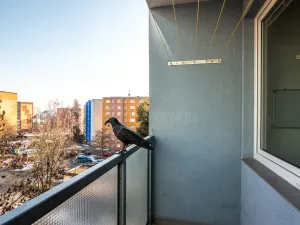 Prodej bytu 3+1, Česká Lípa, Dlouhá, 75 m2