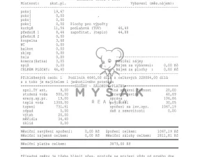 Prodej bytu 1+1, České Budějovice - České Budějovice 4, Rudolfovská tř., 46 m2