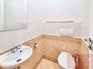 Pronájem rodinného domu, Praha - Nebušice, Nebušická, 243 m2