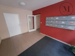 Pronájem bytu 1+1, České Budějovice, Riegrova, 55 m2