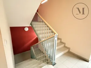 Pronájem bytu 1+1, České Budějovice, Riegrova, 55 m2