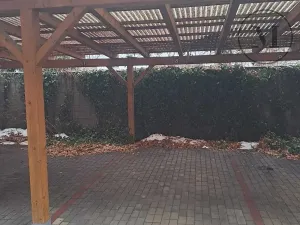 Pronájem bytu 1+1, České Budějovice, Riegrova, 55 m2