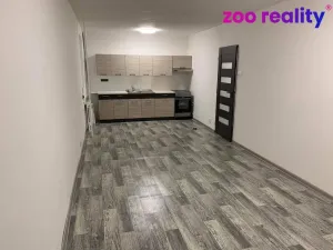 Pronájem bytu 2+kk, Litvínov - Horní Litvínov, B. Němcové, 52 m2