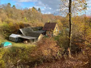 Prodej lesa, Jílové u Prahy, 14982 m2