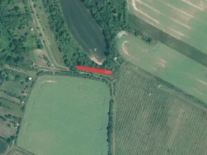 Prodej sadu/vinice, Svatobořice-Mistřín, 5062 m2