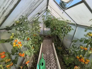 Prodej chaty, Třinec - Lyžbice, 15 m2