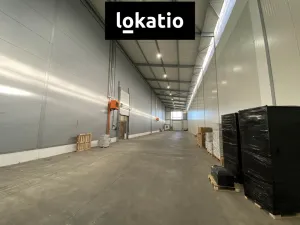 Pronájem skladu, Olomouc, 1300 m2