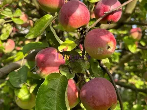 Prodej rodinného domu, Brandýs nad Labem-Stará Boleslav, Karla Šebora, 160 m2