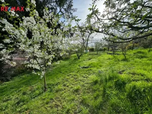 Pronájem rodinného domu, Olomouc - Droždín, Jesenická, 80 m2