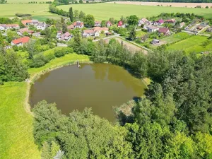 Prodej pozemku pro bydlení, Žáky, 1081 m2