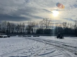 Prodej výrobních prostor, Střítež, 85000 m2