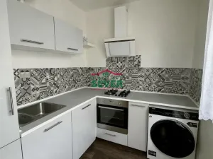 Prodej bytu 2+1, Most, Maxe Švabinského, 54 m2