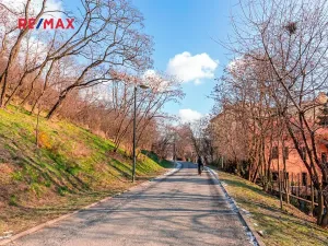 Pronájem obchodního prostoru, Praha - Žižkov, Husitská, 120 m2